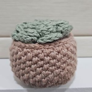 Crochet succulent plant